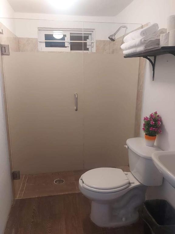 DEPARTAMENTO PERLITA - 2