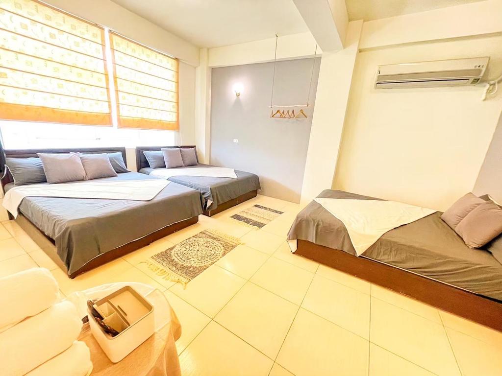 sea monkey diving homestay