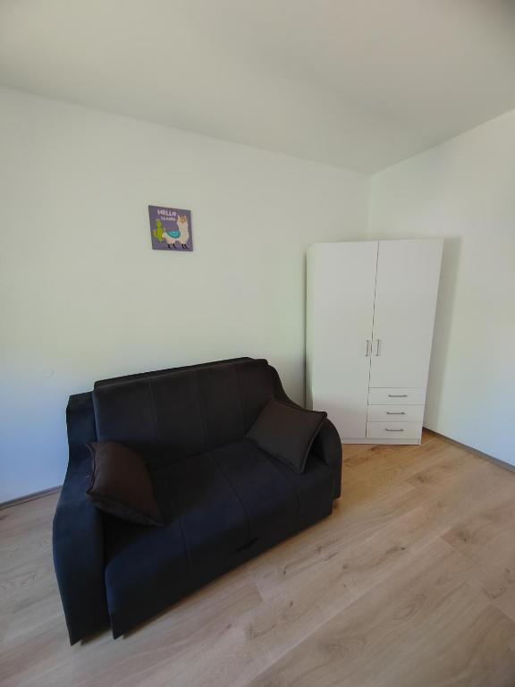 Duplex Mihajlović-Vrnjačka Banja - 4