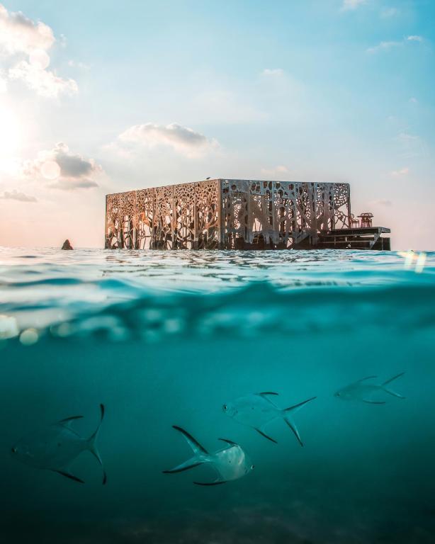 Surrounding environment