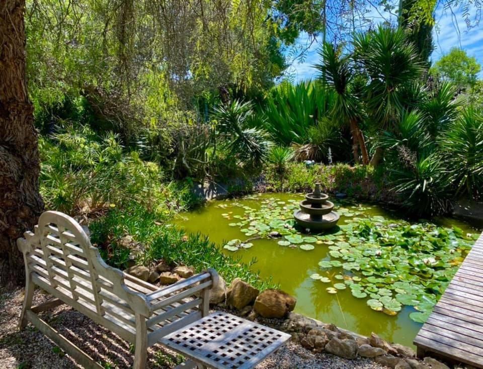 Surrounding environment