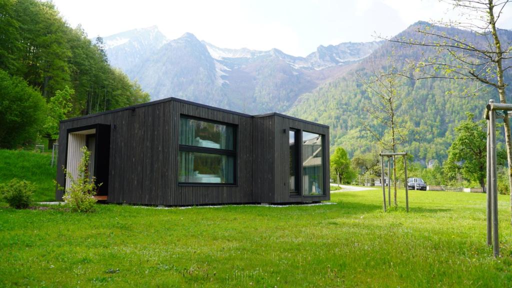 The Campus Alps - 3
