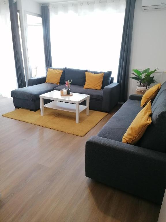 T2 centre ville Antigone Piscine Tennis - 5