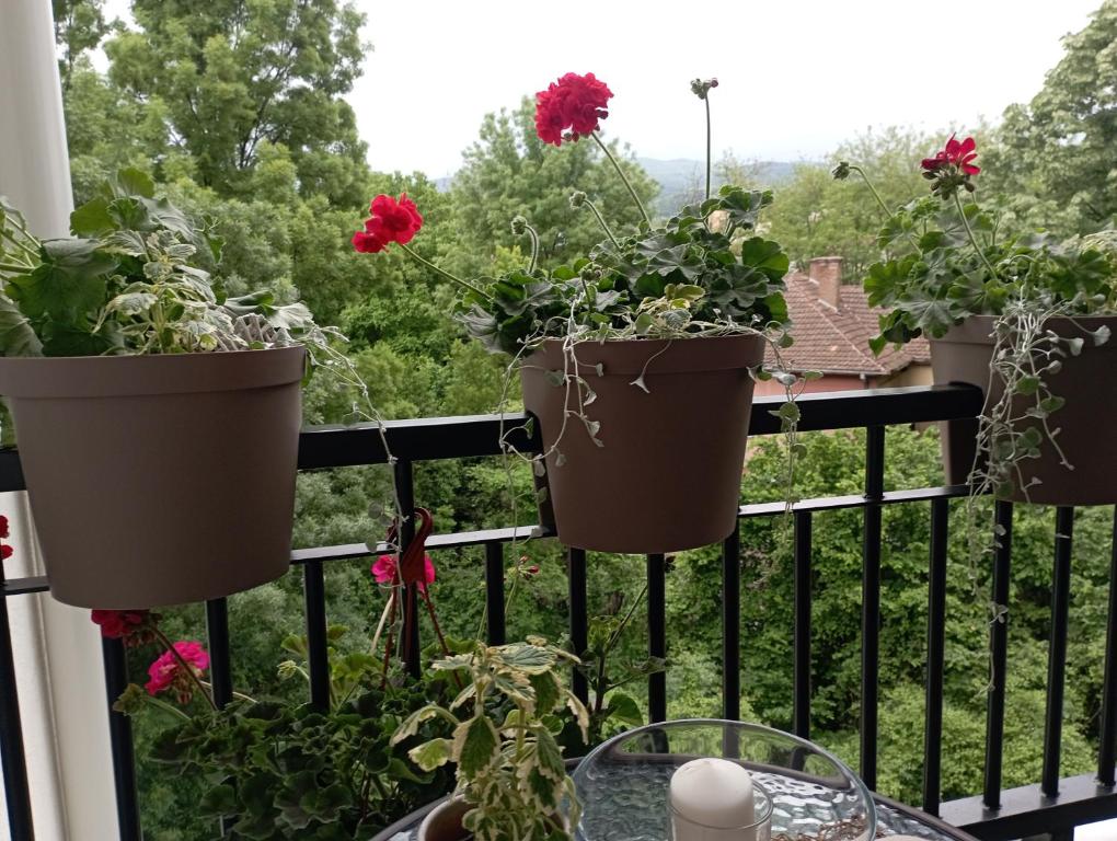 Apartman Bajka - 2