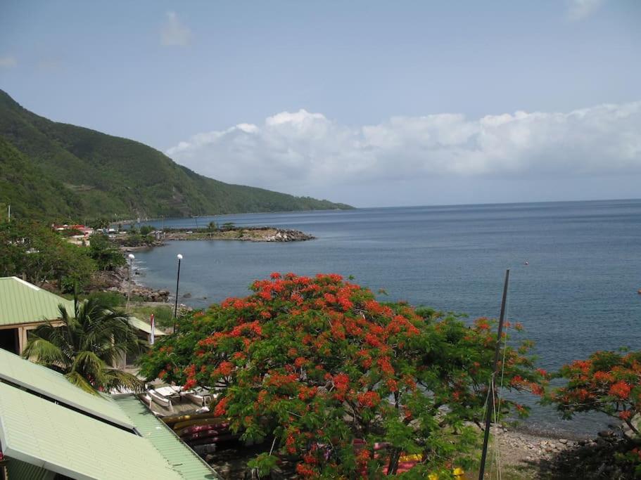 Location studio vue exceptionnelle proximité mer, Gourbeyre