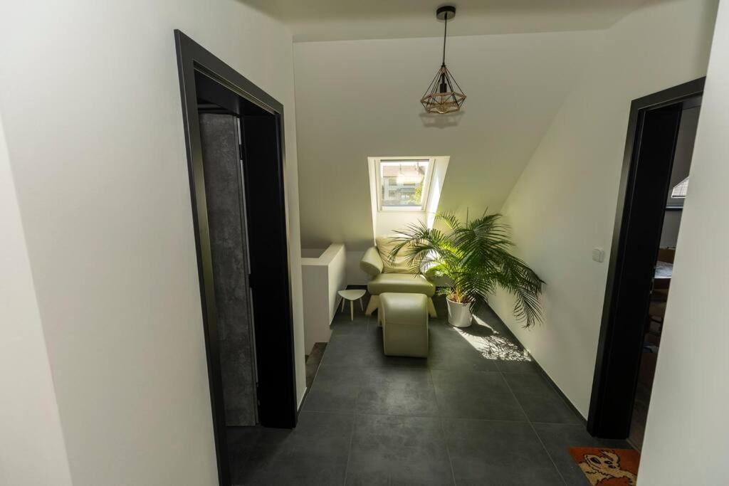 Stylish new PLAYGROUND flat with Bondage Cross & Private fitness in new family house, Hradec Králové