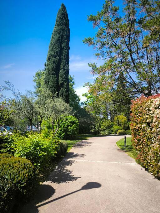 Le jardin d'Aix-en-Provence - 4