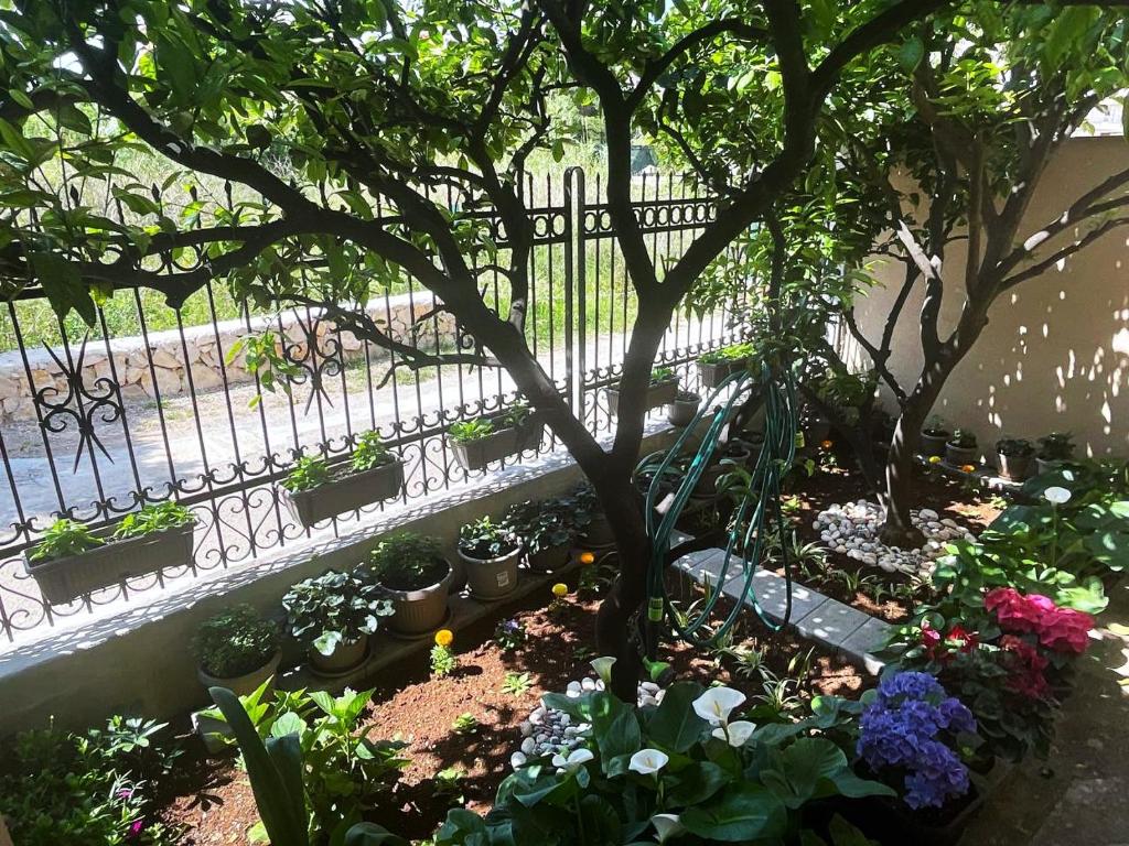 Mari's Apartment - 5