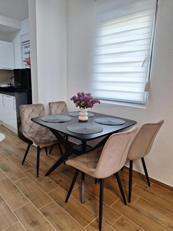 Apartman WIN Sokobanja - 3