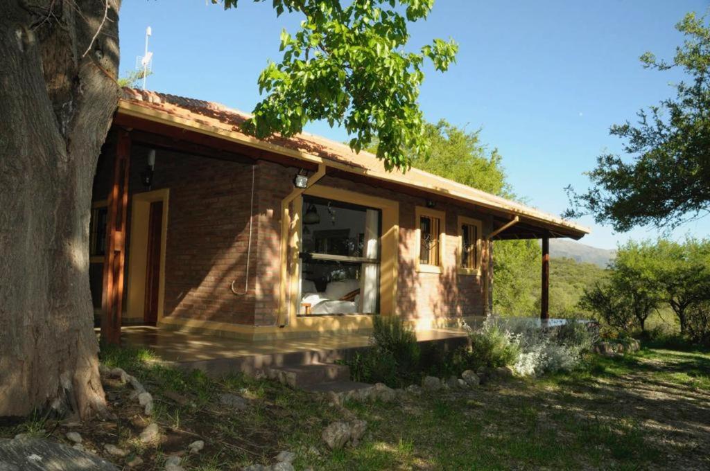 LOS GIRASOLES MERLO SAN LUIS - 4