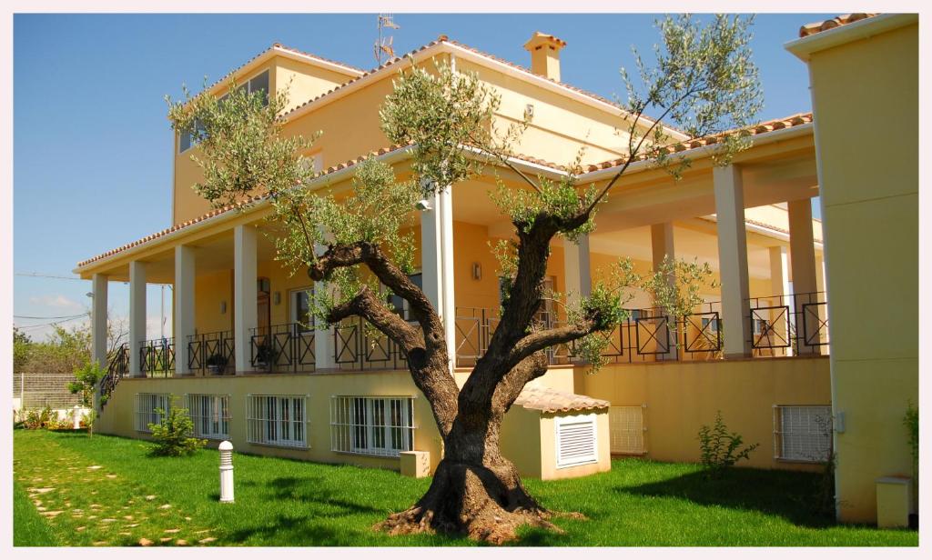 Luz de Azahar Bed and Breakfast - 5