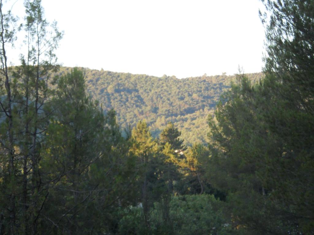 Lavandoule - 3