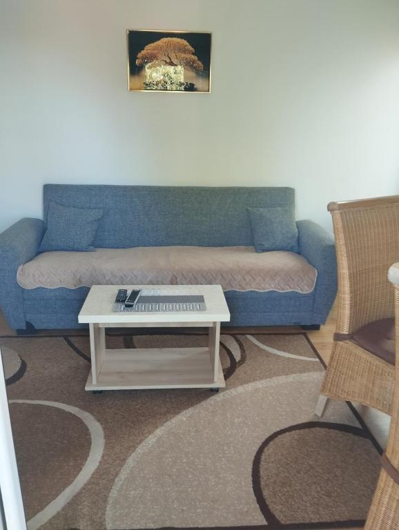 Apartman Sokobanja Borići - 5
