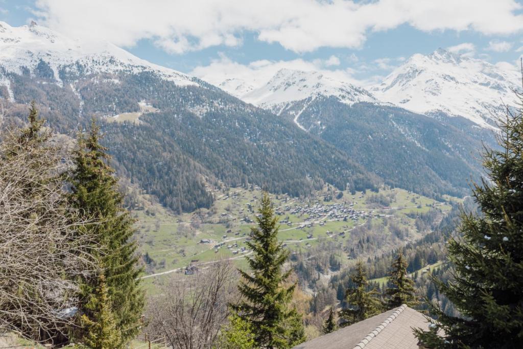 Studio avec vue sur les montagnes - 2