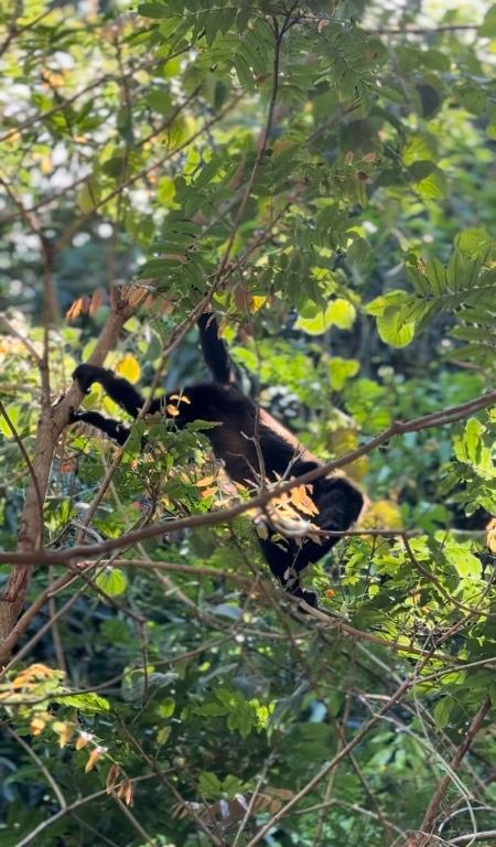 Surrounding environment