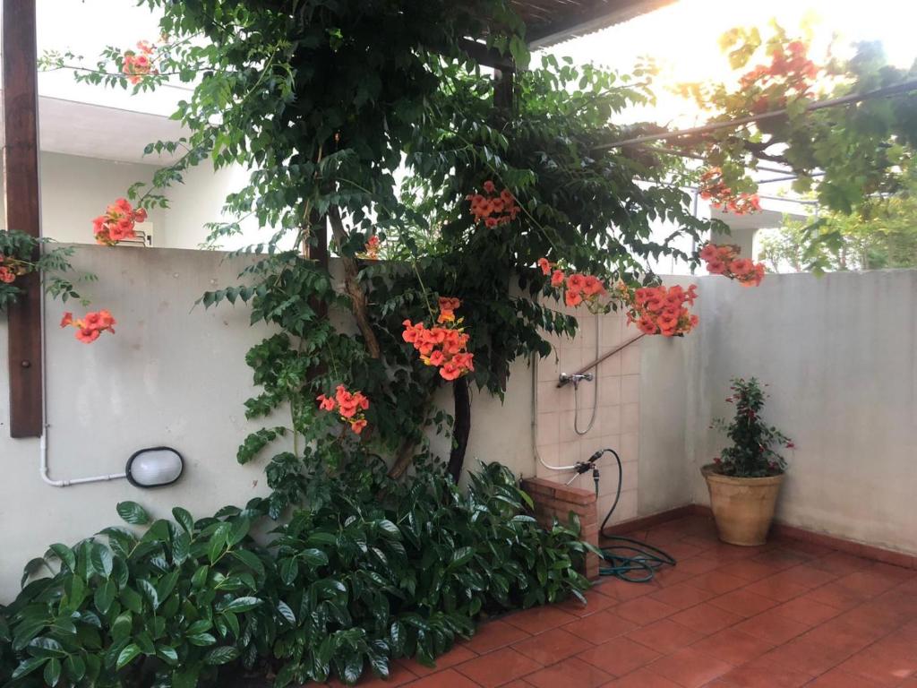 Residenza villetta smeraldo in baia verde - 5