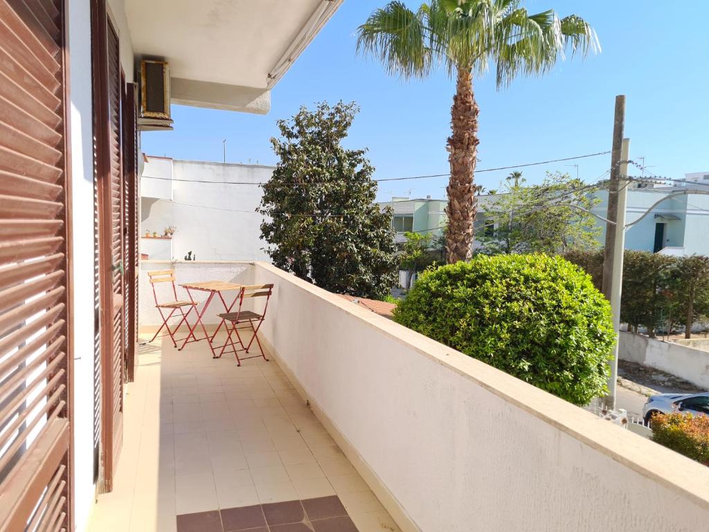 Residenza Orchidea in baia verde - 5