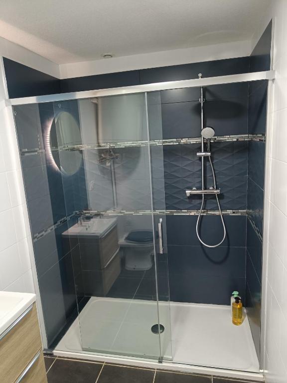 micro maison, refait à neuf, spacieux, agréable - 5