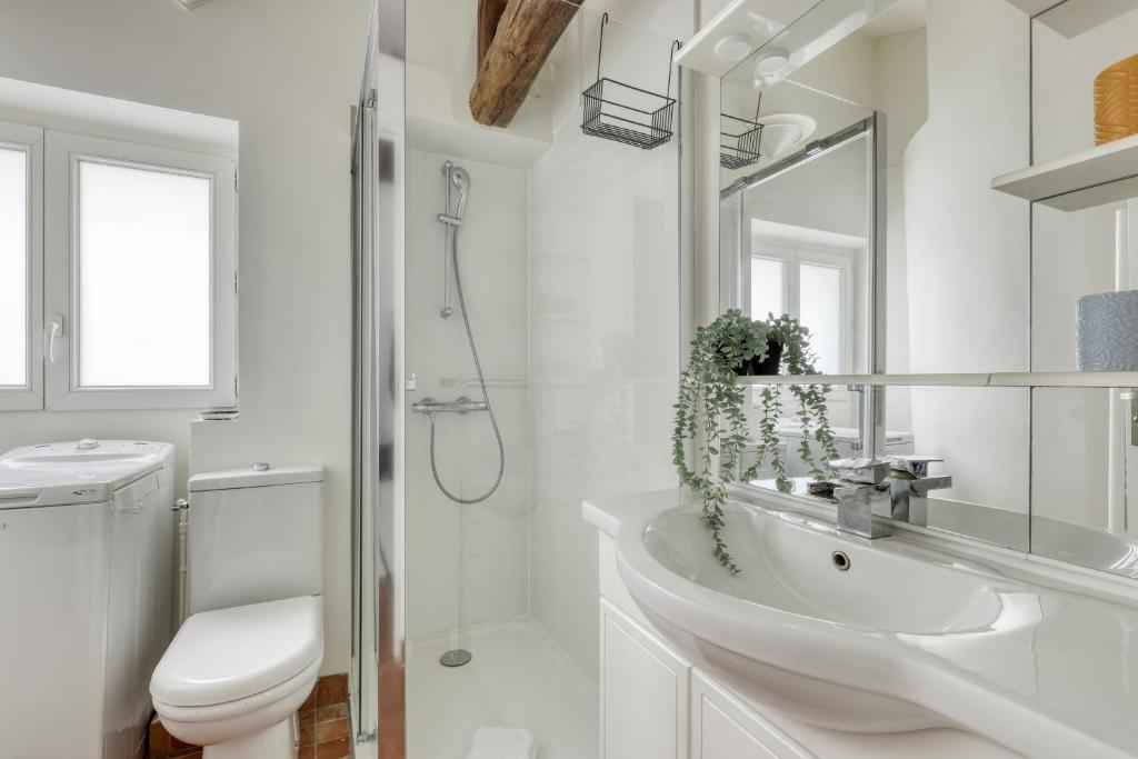 Homely & Pleasant T2 flat in the Heart of Paris - 5
