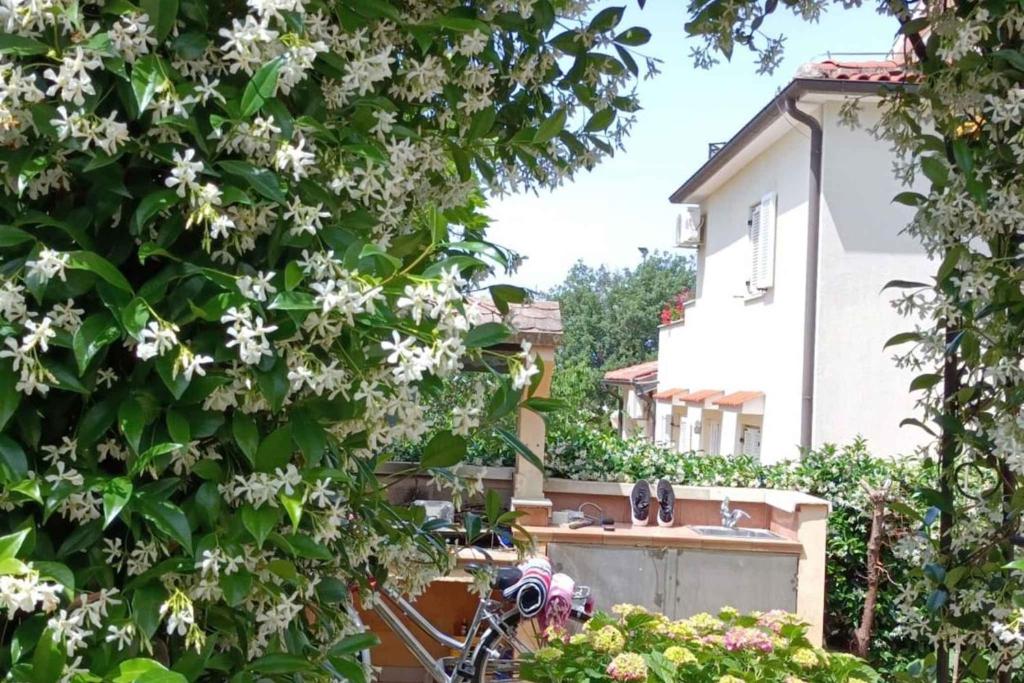 Apartment in Porec - Istrien 47129, Poreč