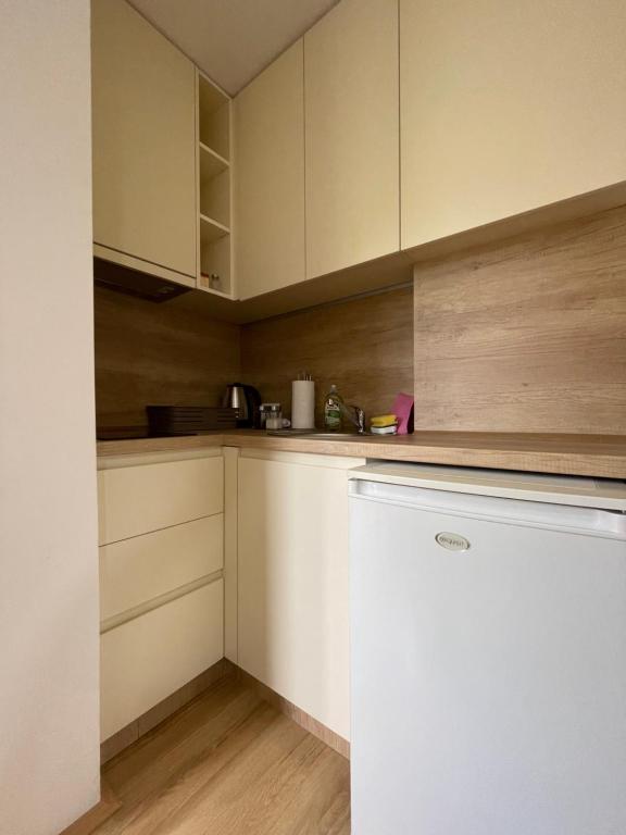 Apartmani Videnovic Sokobanja - 5