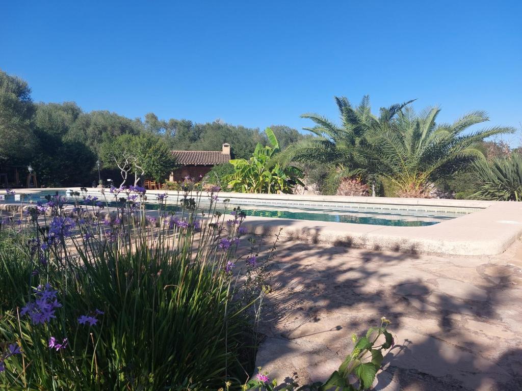 Finca Sa Cova Vella - 4