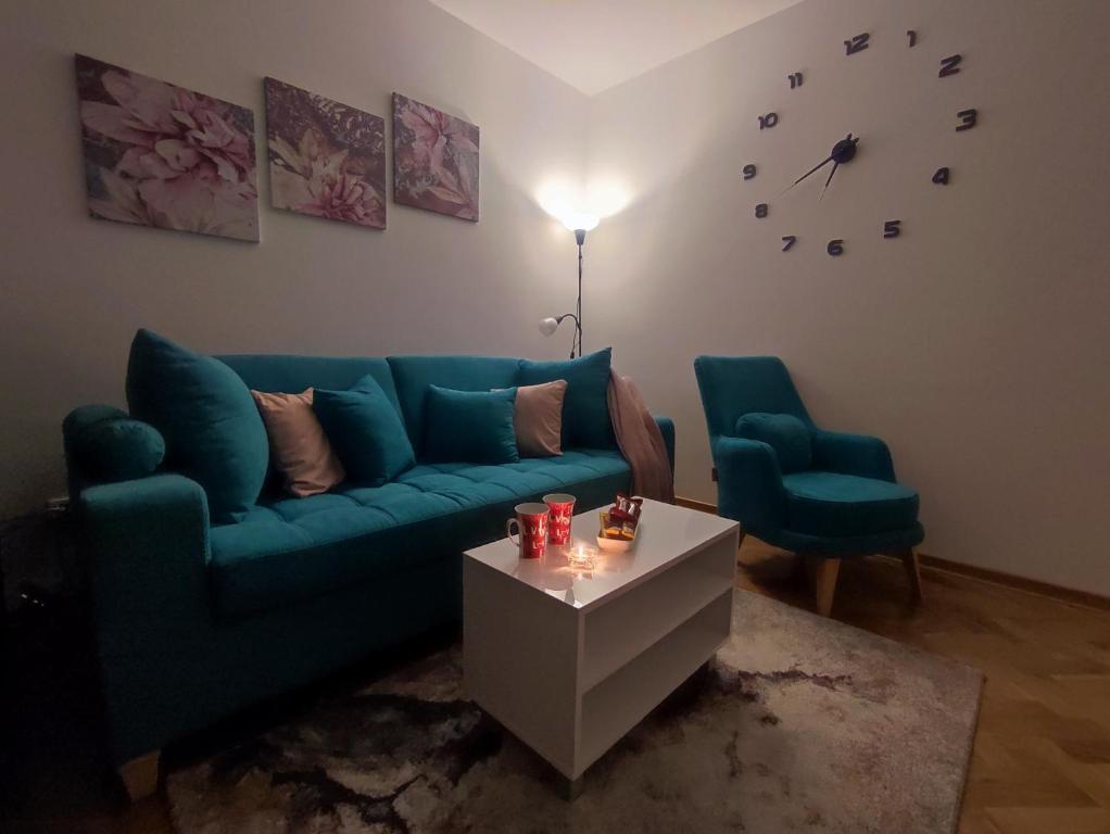 Apartman PINA Vrnjacka Banja - 4