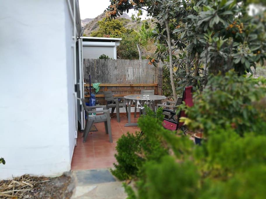 Ruhiges Apartment auf Öko-Finca Mogan No2 - 2
