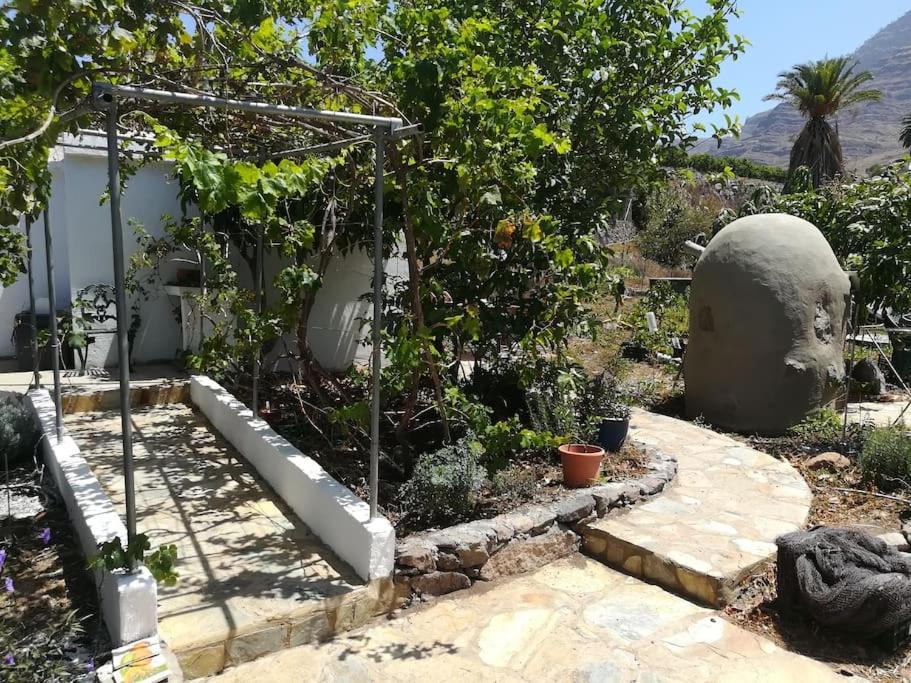Ruhiges Apartment auf Öko-Finca Mogan No2 - 3