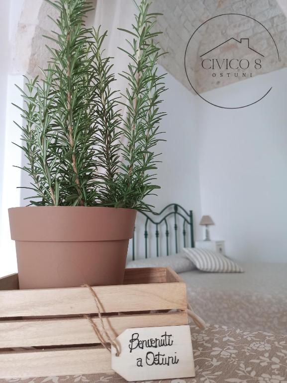 Civico 8 - 2