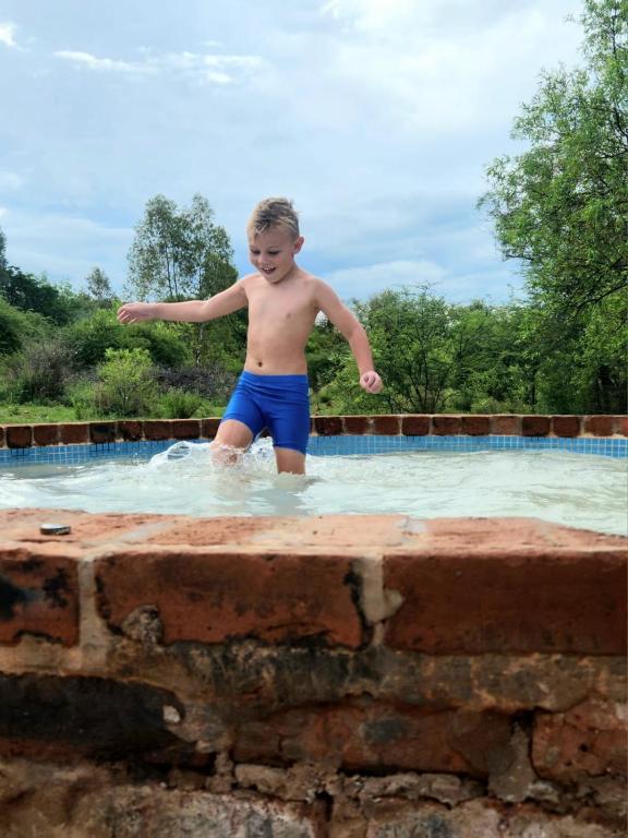 スイミングプール