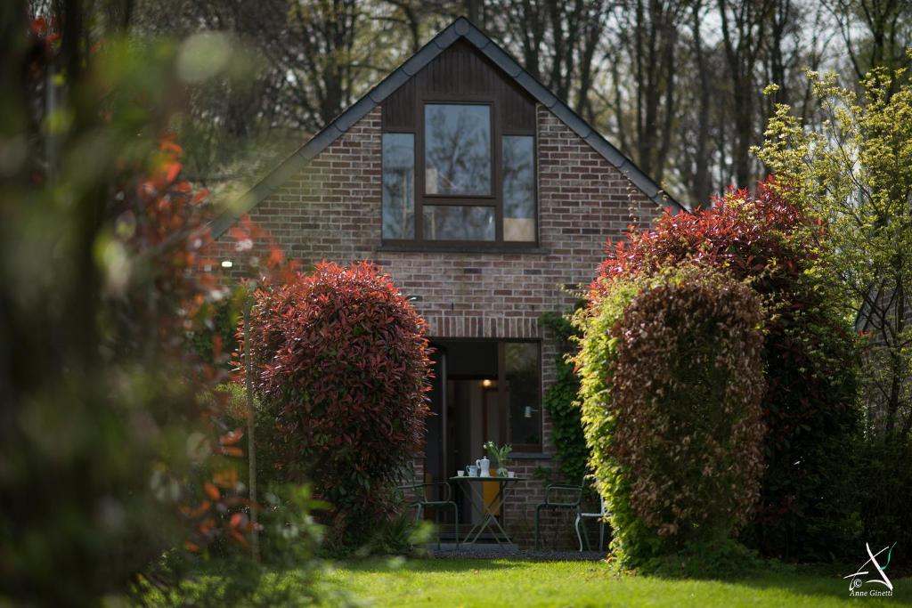 Le menhir bleu, gîte 2 personnes de plain-pied à Wéris, Durbuy