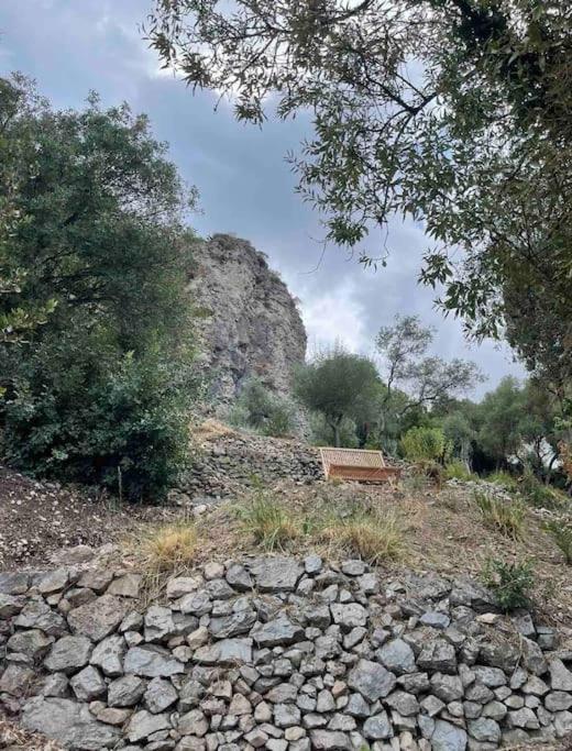 Villa des Arts - Taormina - 4