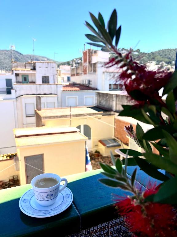 Escondite central con terraza compartida en la azotea - 2