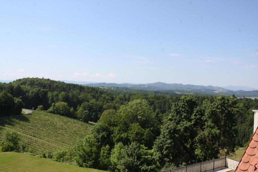 Hotel Garni am Seggauberg - 5