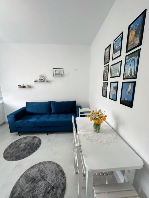 Js House Shkoder 4, Shkodër