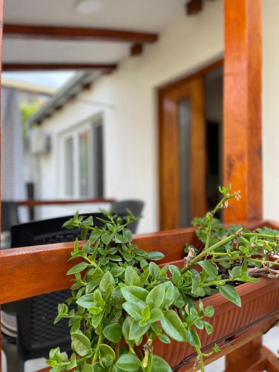 Rustic Villa - 3
