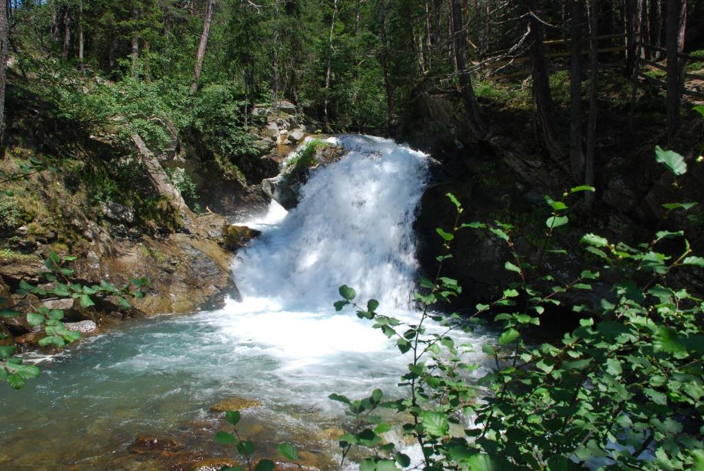 Surrounding environment