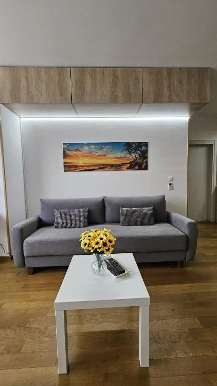 Porodicno-poslovni udoban stan, Vračar (historical)