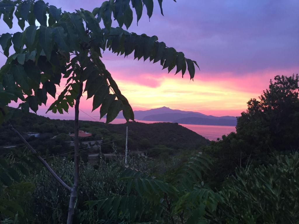 Casina Innamorata tra Natura e Mare - Elba Affitti - 2