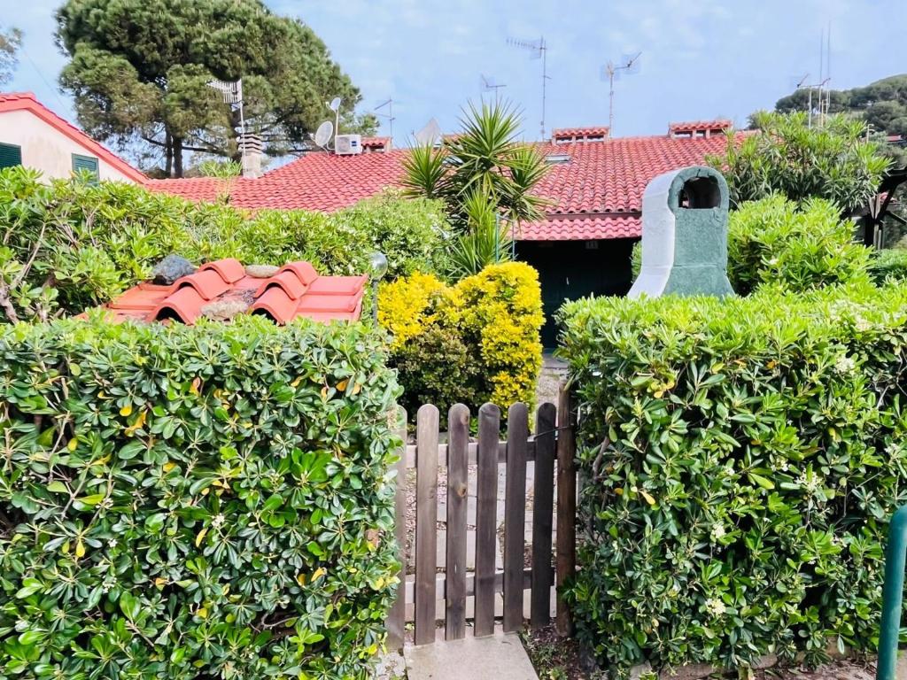 I Chioppi 11, Capoliveri