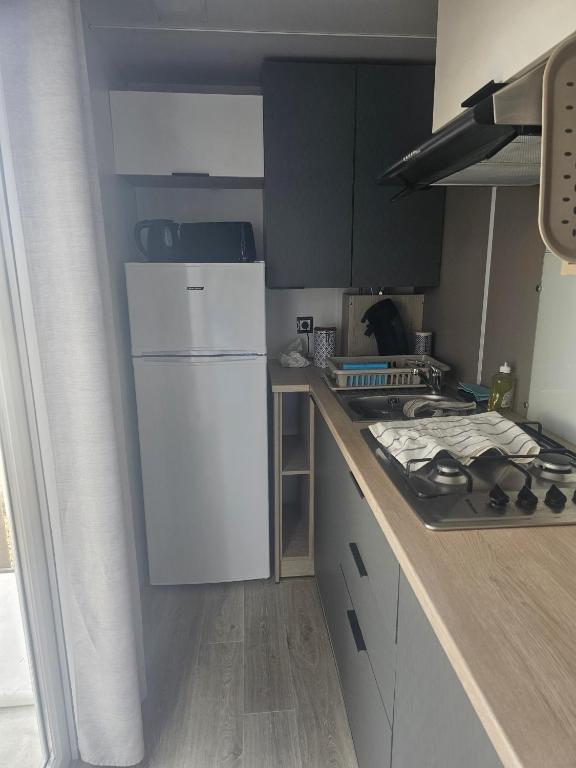 Charmant mobil home premium L048 - 2