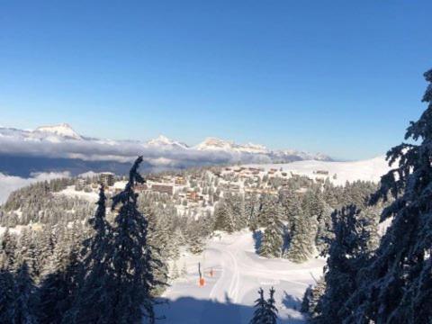Studio cosy pieds des pistes - 3