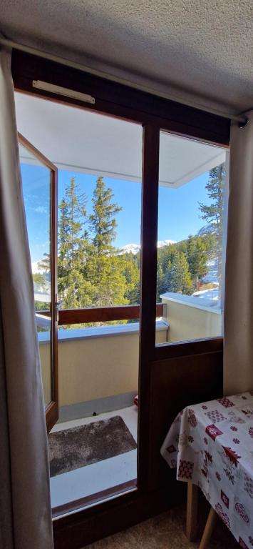 Studio cosy pieds des pistes - 5