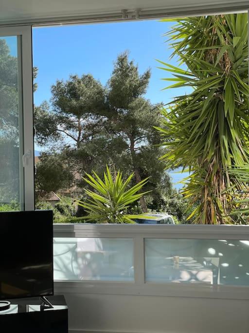 Appartement neuf, 2 chambres, climatisé, route des Sanguinaires - 2