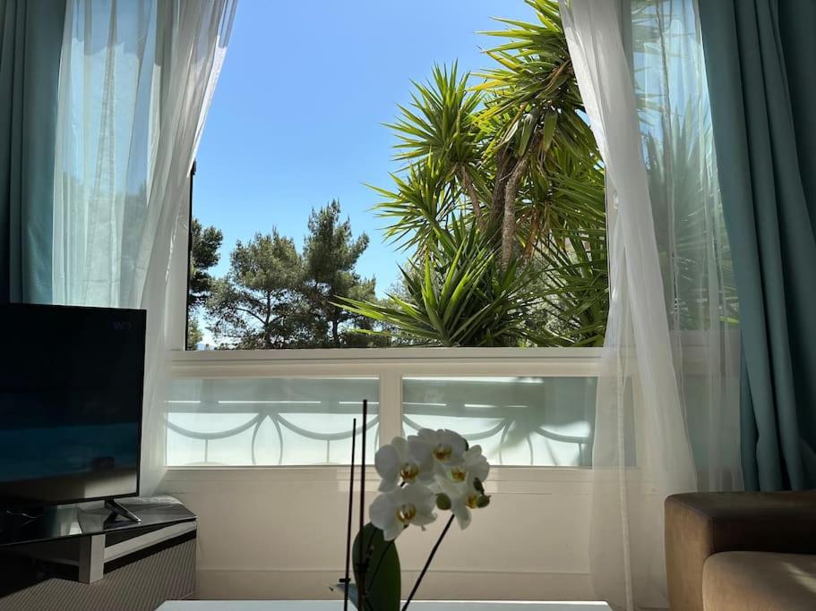 Appartement neuf, 2 chambres, climatisé, route des Sanguinaires - 3