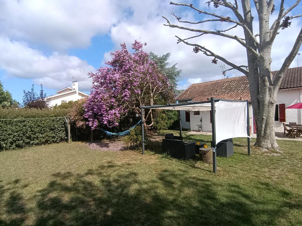 Charmante maison landaise - 5