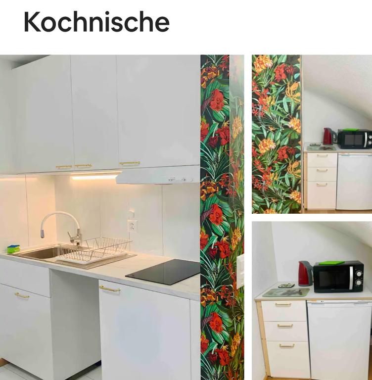 25m2 Studio with Kitchen in Zürich, Curych