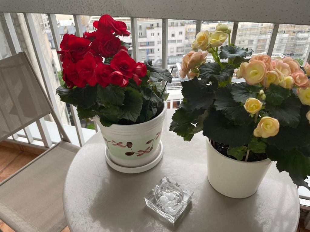 Chambre chez l'habitant avec Salle de bain à partager - homestay - 3