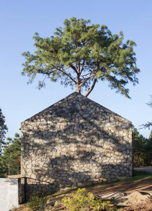 Casa Alrededor de un Pino - 5
